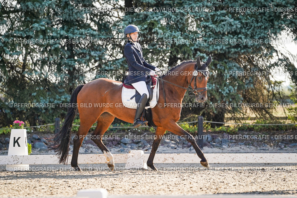 DSC09183 | Pferdegrafie