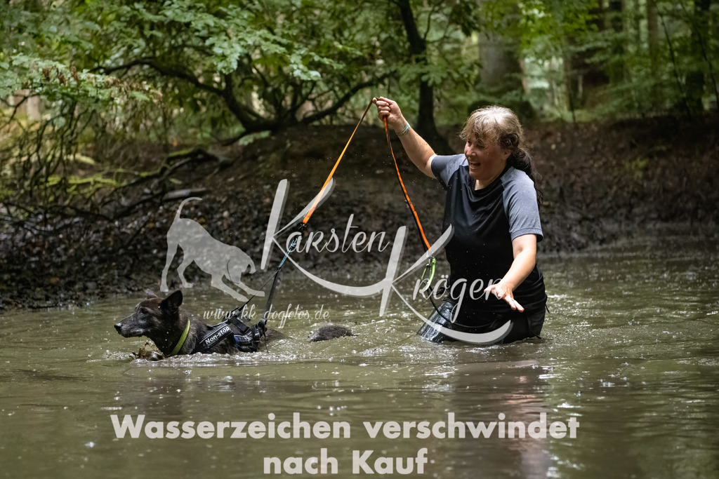 1244_ZZ91375-Bearbeitet | kk-dogfotos