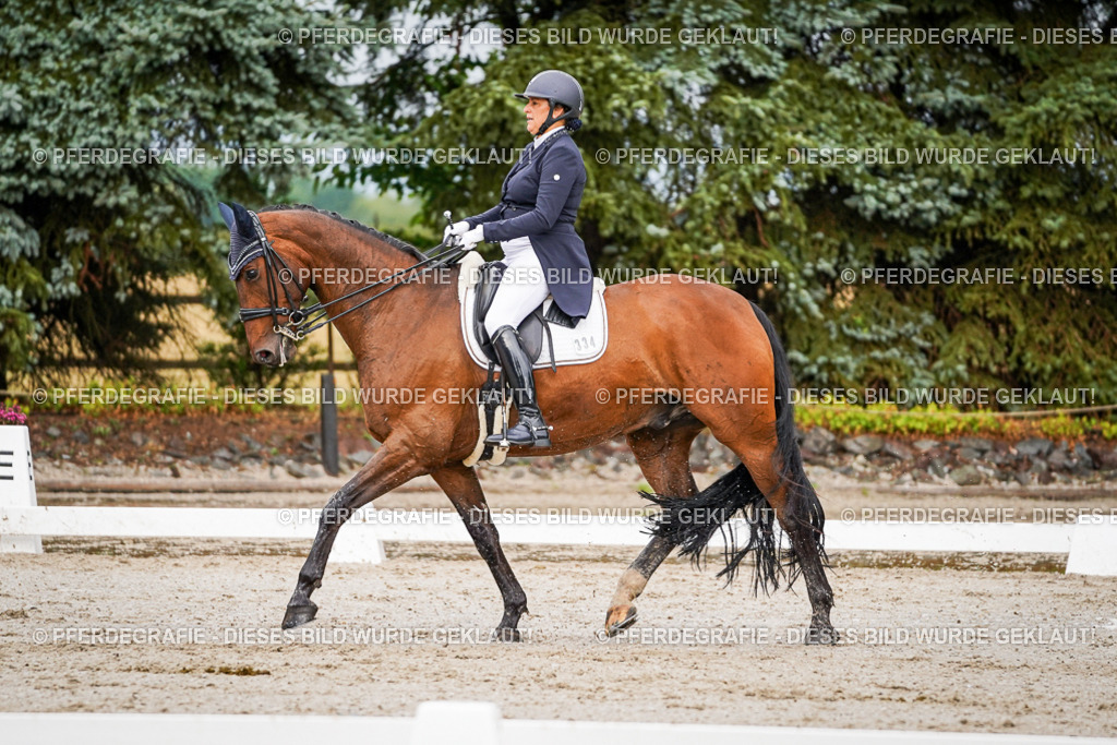 DSC09654 | Pferdegrafie