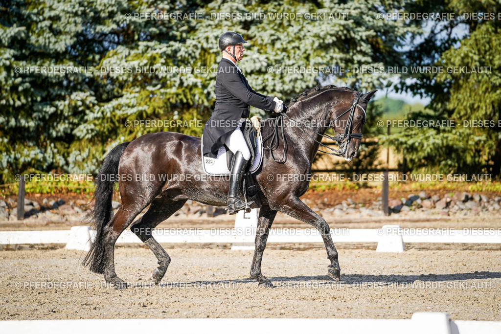 DSC00670 | Pferdegrafie