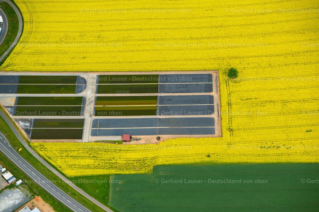 3500397 | Rapsstrukturen bei Miltenberg