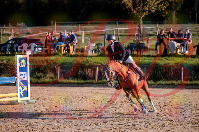 2026_10_03_Siefer-Hof_171723_Z81_15169140 | Professionelle Reitsport-, Turnier- und Eventfotografie von Robert Broda. Galerien mit ausgewählten und bearbeiteten Bildern direkt online ansehen und bestellen.