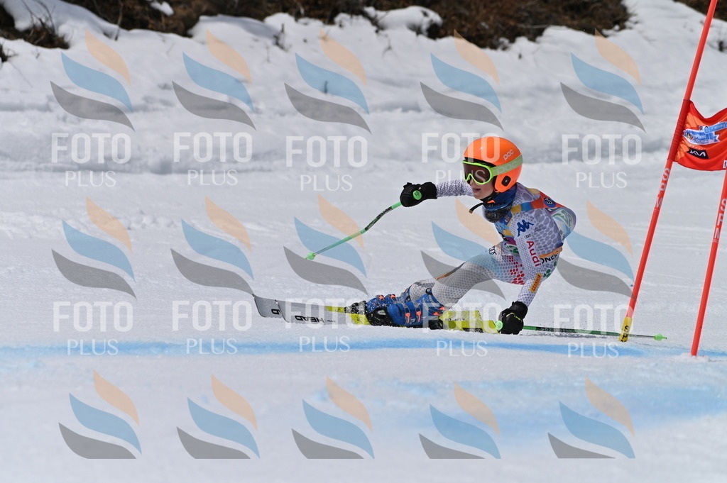 BGV_6377 | holidayphoto