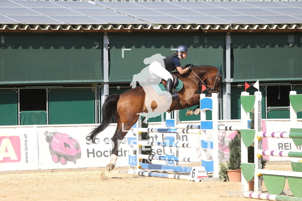 DL2Q1979 | Willkommen bei Brunnmayr - Design & Fotografie – Ihrem Spezialisten für Reitturniere und Pferdeveranstaltungen in Oberösterreich, Salzburg und Bayern! Seit über 17 Jahren sind wir leidenschaftlich dabei.