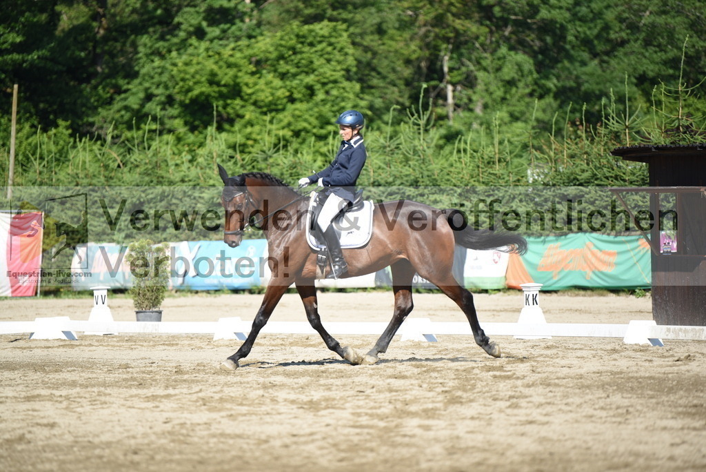 DSC_7441 | equestrian-live-com