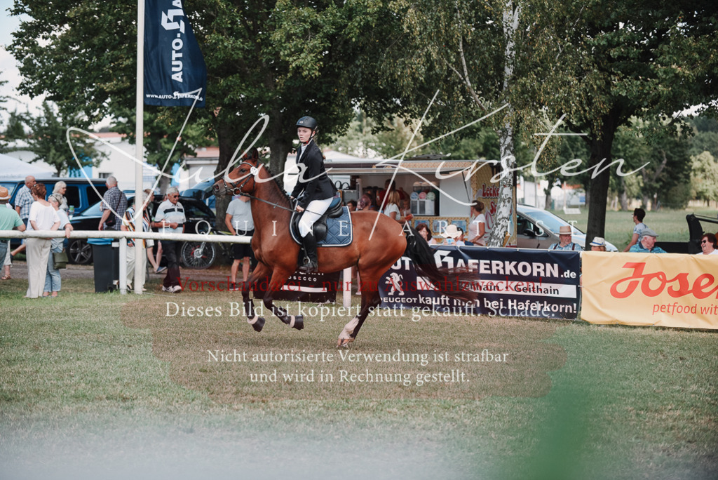 DSC_5842 | Pferde- und Turnierfotografie in Westsachsen. Pferdeportraits, Auftragszeichnungen und intuitive Kunst.