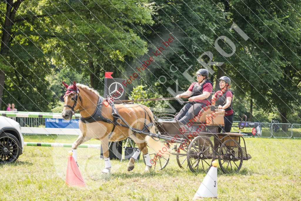IMG_7976 | Sport-, Event- und Tierfotos in Profiqualität. Einfach auswählen, bestellen und herunterladen. Dein Moment – perfekt festgehalten.