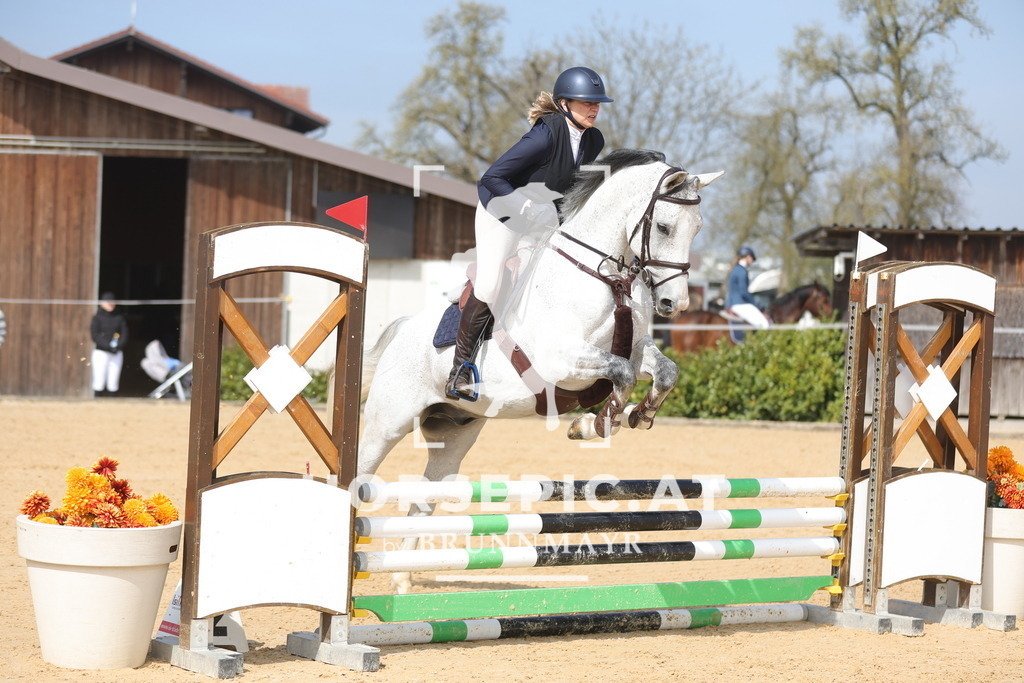 0P6A9618 | Willkommen bei Brunnmayr - Design & Fotografie – Ihrem Spezialisten für Reitturniere und Pferdeveranstaltungen in Oberösterreich, Salzburg und Bayern! Seit über 17 Jahren sind wir leidenschaftlich dabei.