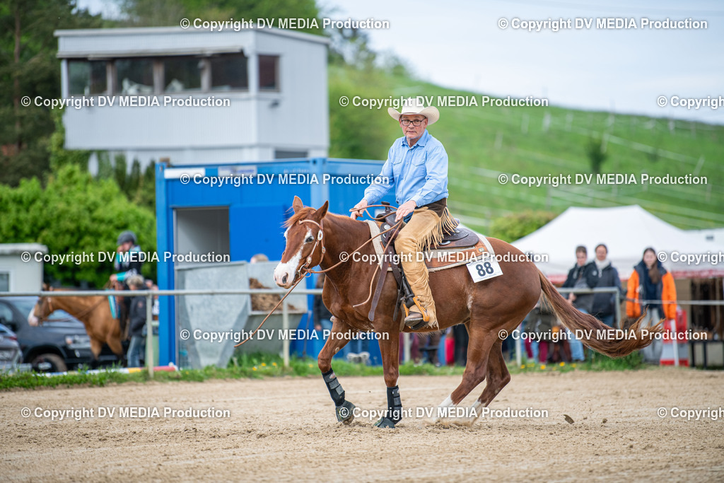 Heiligenwald Tag 1-2521 | dv-media-shop - Realisiert mit Pictrs.com