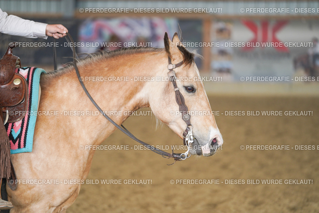 DSC01907 | Pferdegrafie