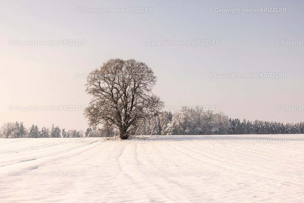 _J3A9594 | medienkrizzler - Realisiert mit Pictrs.com