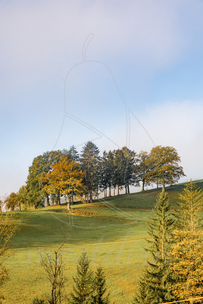 Puchberger Herbst | Ihre Fotografin im Lungau, ihre Fotografin im Mostviertel, Wandbilder Onlineshop, Imagefotos für Ihr Unternehmen,  - Realisiert mit Pictrs.com