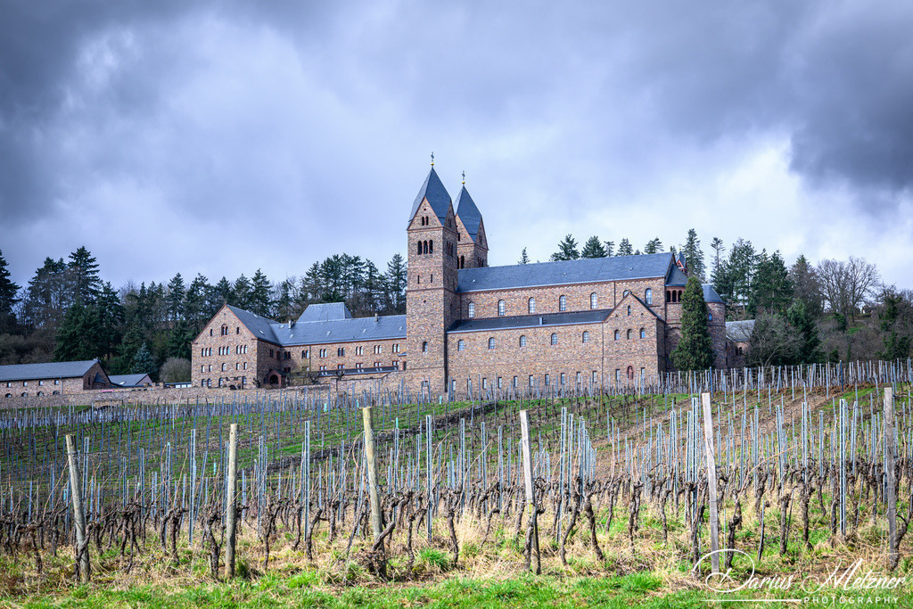 Der Rheingau und Umgebung | Der Rheingau und Umgebung