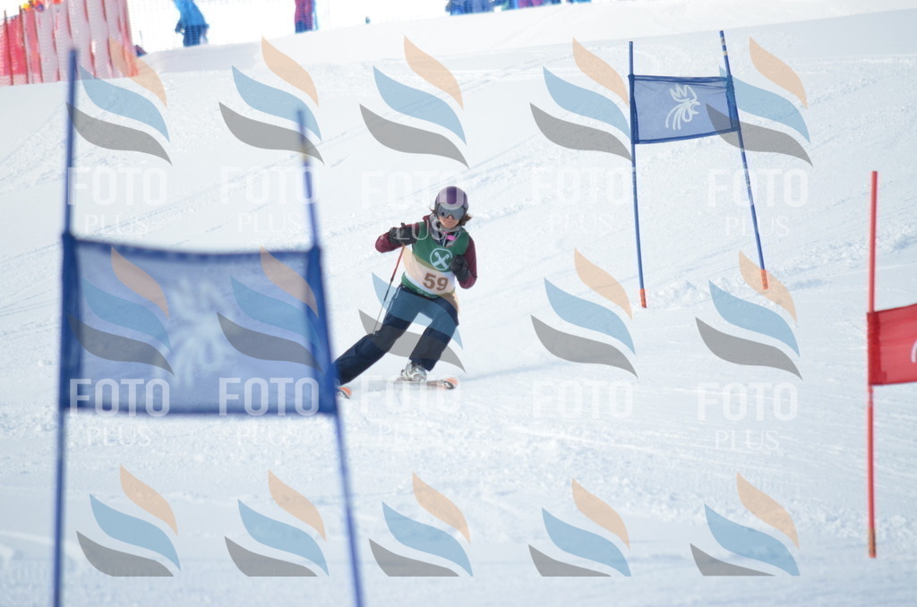 D8842 | holidayphoto