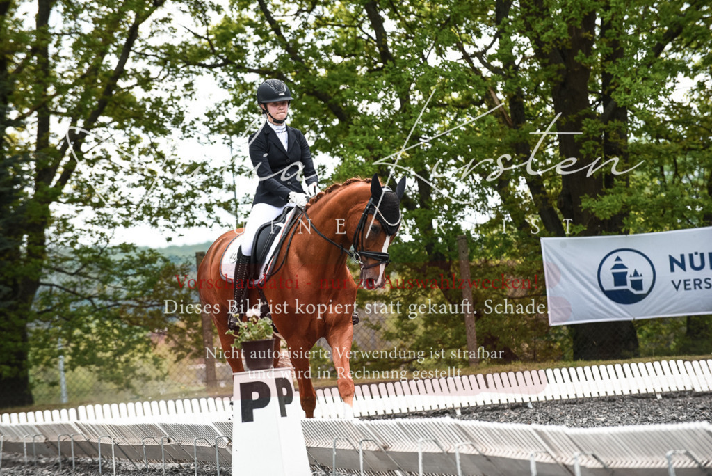 20230514_JK-Röhrsdorf-24-099 | Pferde- und Turnierfotografie in Westsachsen. Pferdeportraits, Auftragszeichnungen und intuitive Kunst.
