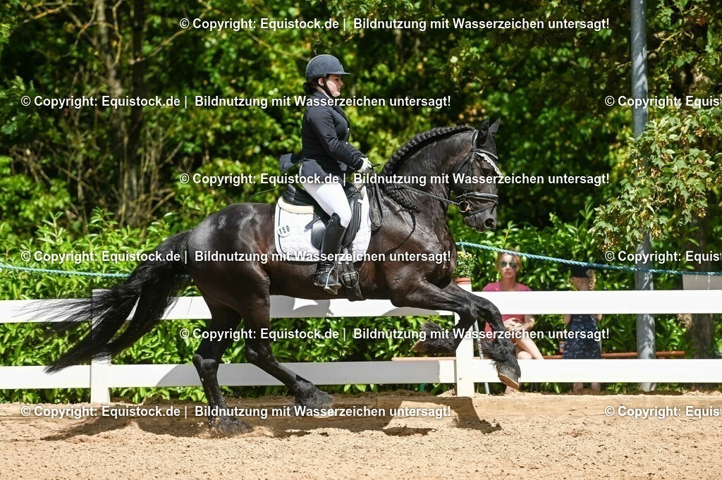 20230715_02_Dressurreiterprüfung Kl.L_0181 | equistock