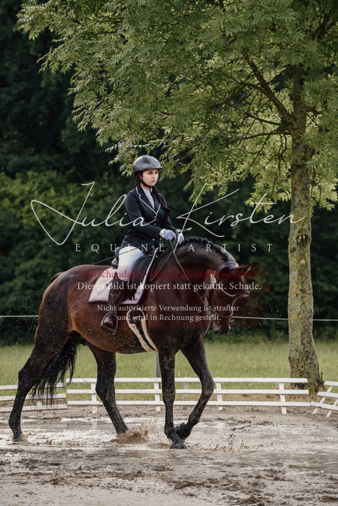 DSC_8568 | Pferde- und Turnierfotografie in Westsachsen. Pferdeportraits, Auftragszeichnungen und intuitive Kunst.