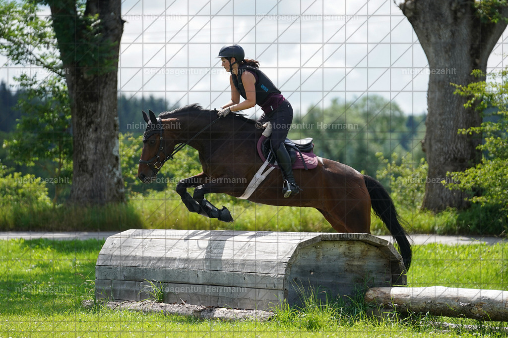 20240622-FAH07758 | Turnierfotografen Bayern, Reitsportbilder aus dem Geländekurs mit Felix Etzel auf dem Gut Waitzacker 2024