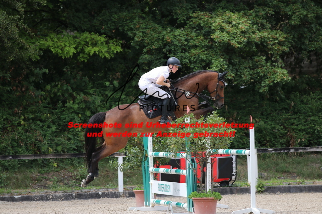 IMG_2111 | lmwpictures - Realisiert mit Pictrs.com