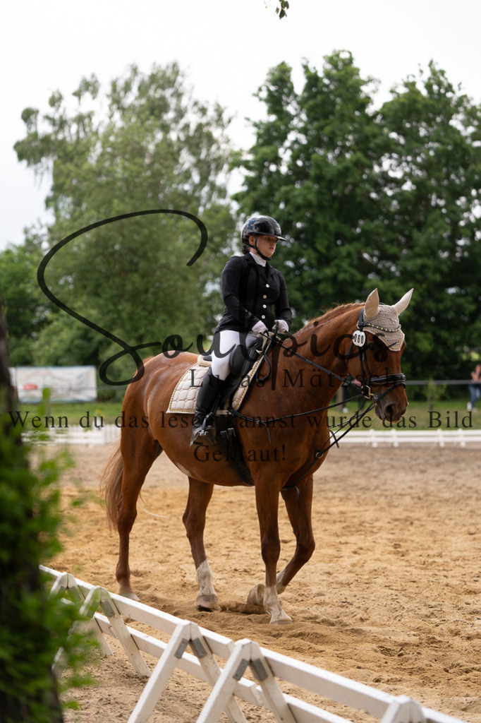 A7505951 | Turnier/Reitfotograf