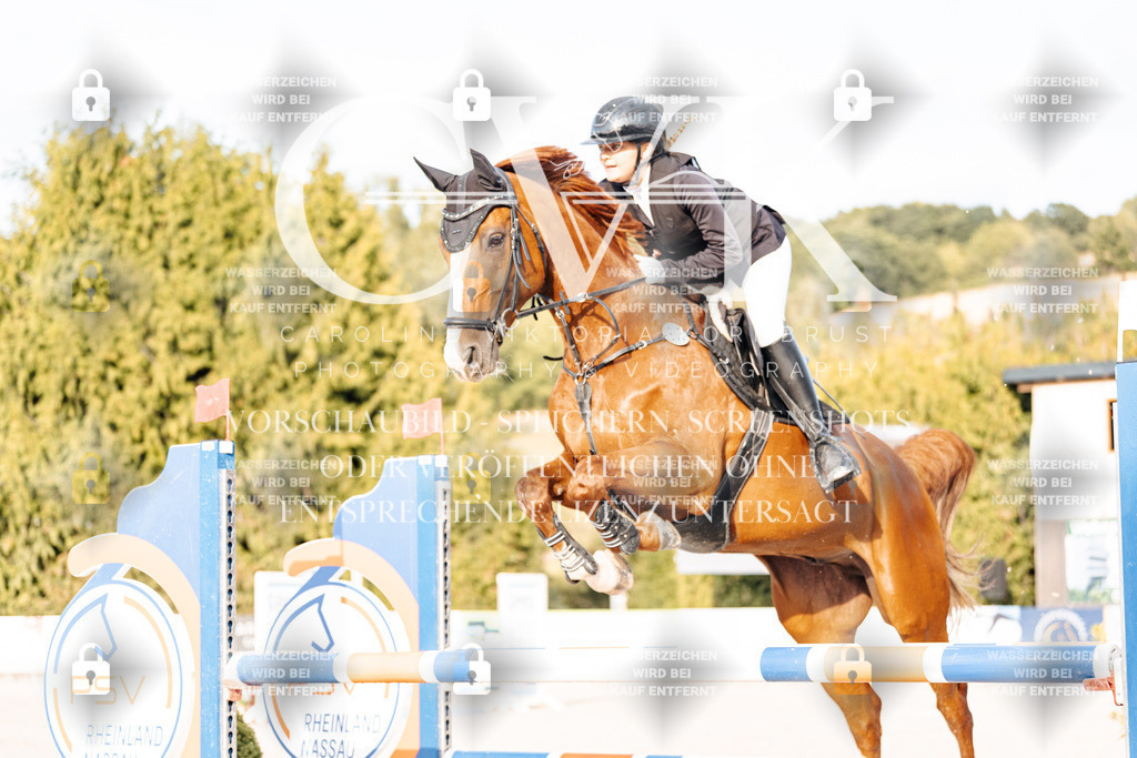 CK903296 | Turnierfotografie Pferdefotografie Trier Rheinland-Pfalz Pferdesport Reitsport Tierfotografie Sportfotografie Pferdevideo Pferdevideografie Equestrianvideography equestrianphotography  - Realisiert mit Pictrs.com