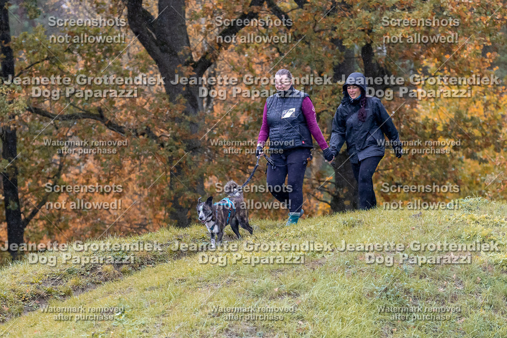 Dog Paparazzi - SD CaniX Championship 2025-769 | Dog Paparazzi Jeanette Grottendiek Fotografie & Videografie - Realisiert mit Pictrs.com