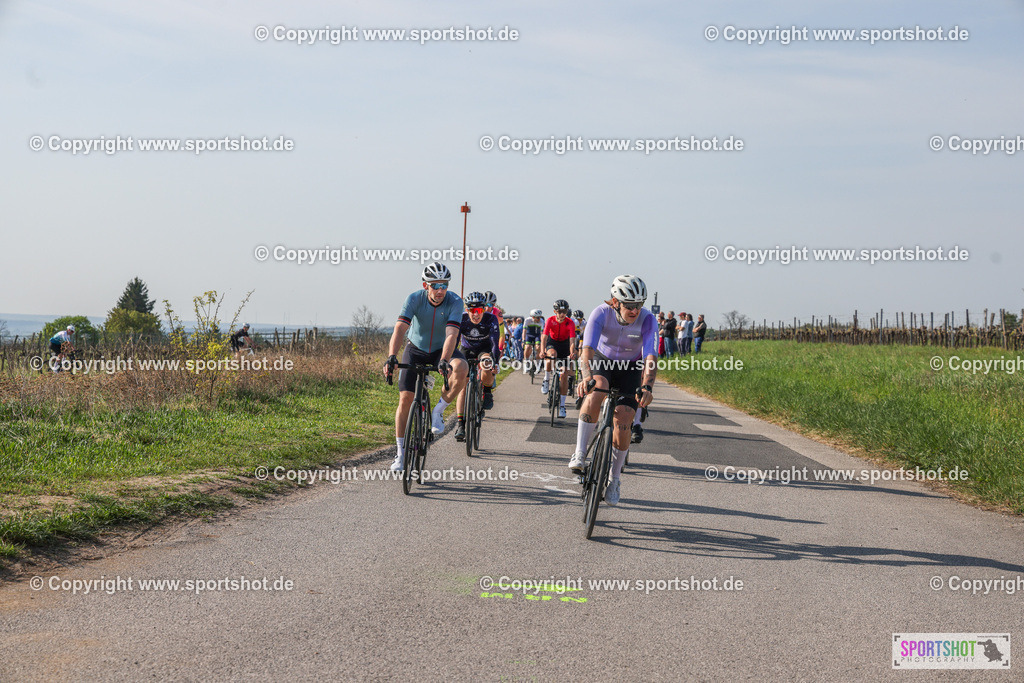 007A8820 | Neusiedlersee Radmarathon #neusiedlerseeradmarathon #neusiedlersee #nrm26 #yourpictrs #sportshot_your_pictrs