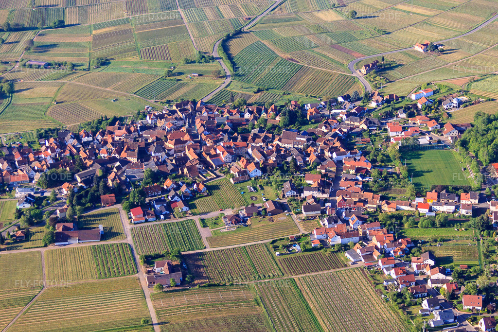 Luftbild: Winzerdorf am Morgen von Norden in Frankweiler im Bundesland Rheinland-Pfalz in Deutschland. Foto: IMG_64730.jpg vom 04.05.2014 durch Werner Riehm/FLY-FOTO.de