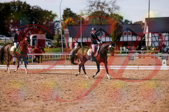 2026_10_03_Siefer-Hof_132512_Z81_74589599 | Professionelle Reitsport-, Turnier- und Eventfotografie von Robert Broda. Galerien mit ausgewählten und bearbeiteten Bildern direkt online ansehen und bestellen.