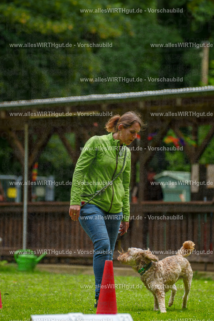 @allesWIRTHgut_Tierfotografie - www.allesWIRTHgut.de - 092306-7R507012 | Professionelle Tierfotografie in Mönchengladbach von Daniel Wirth (allesWIRTHgut). Liebevolle & natürliche Bilder von Hunden & Katzen für unvergessliche Erinnerungen.