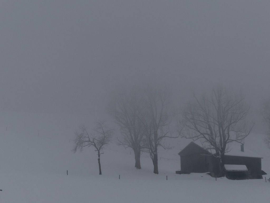 PSX_20230312_003420 | mtkfoto_ - Realisiert mit Pictrs.com