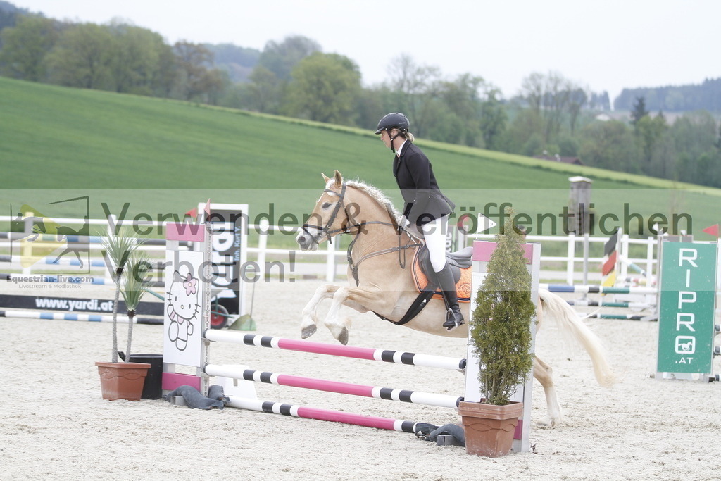 _MG_3691 | equestrian-live-com