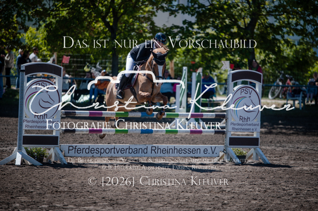 DSC_8162 | Christina-Kleuver