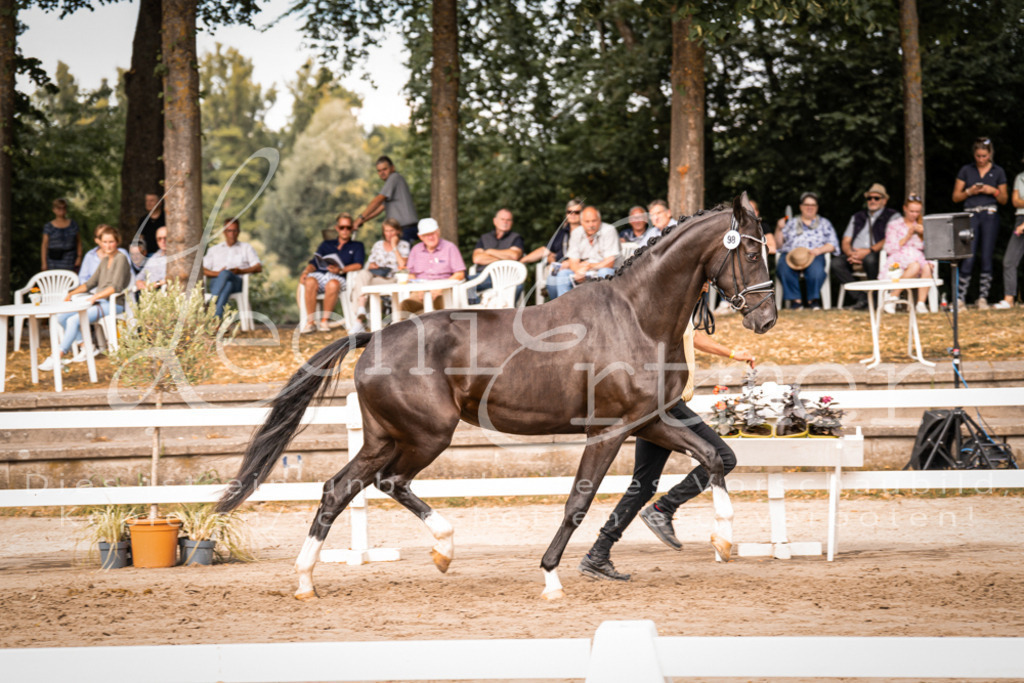 7.Fr00092 | Leoni Ertmer Photography - Realisiert mit Pictrs.com