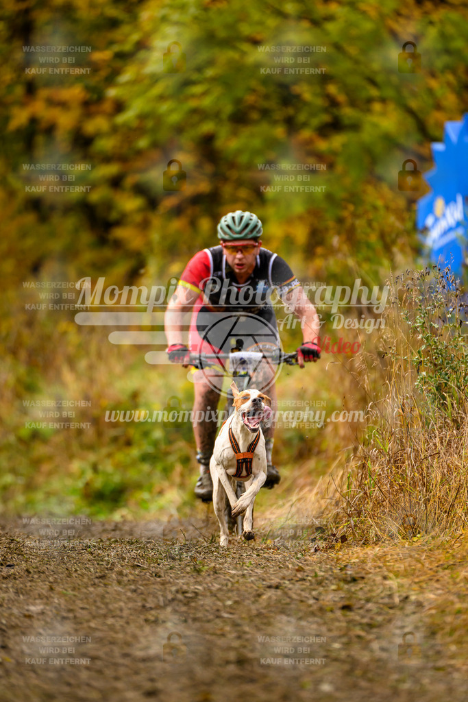 MompixPhotography_ICF_WC_2024_SA_Bike_-65 | PayLife