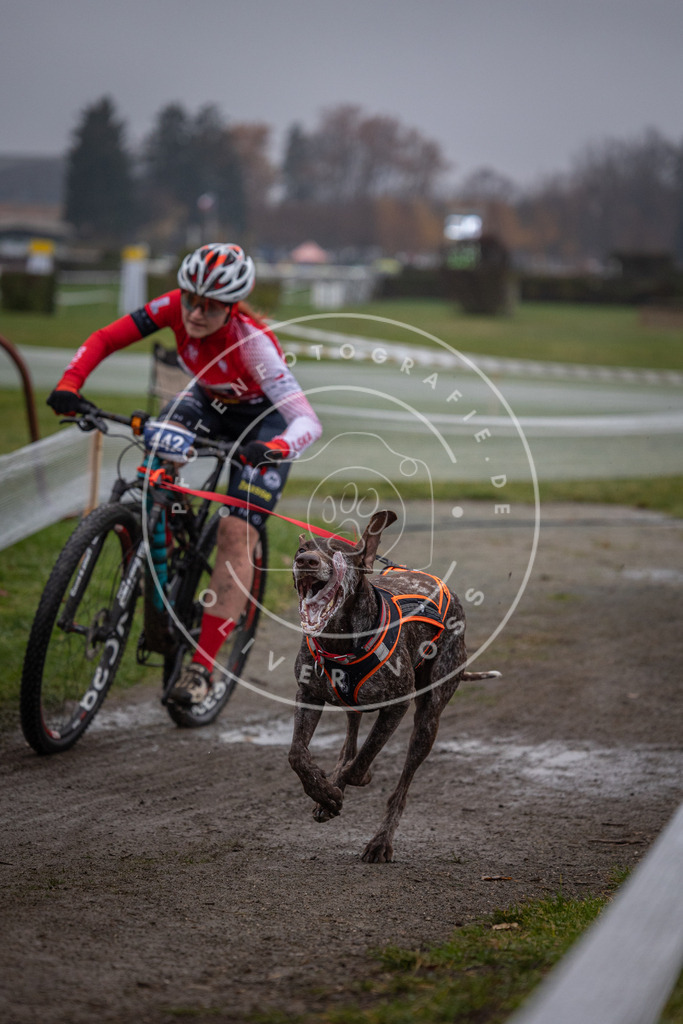 CaniXpix_0L8A1410 | Hundefotografie, Tierfotograf, Pfotenfotografie, Fotoshooting Hund, Hunde Portrait, Hundesport, Hundeportraits, Heideshooting, Hunde, Sportfotograf, Hundefotograf, Turnierhundsport, THS,  - Realisiert mit Pictrs.com