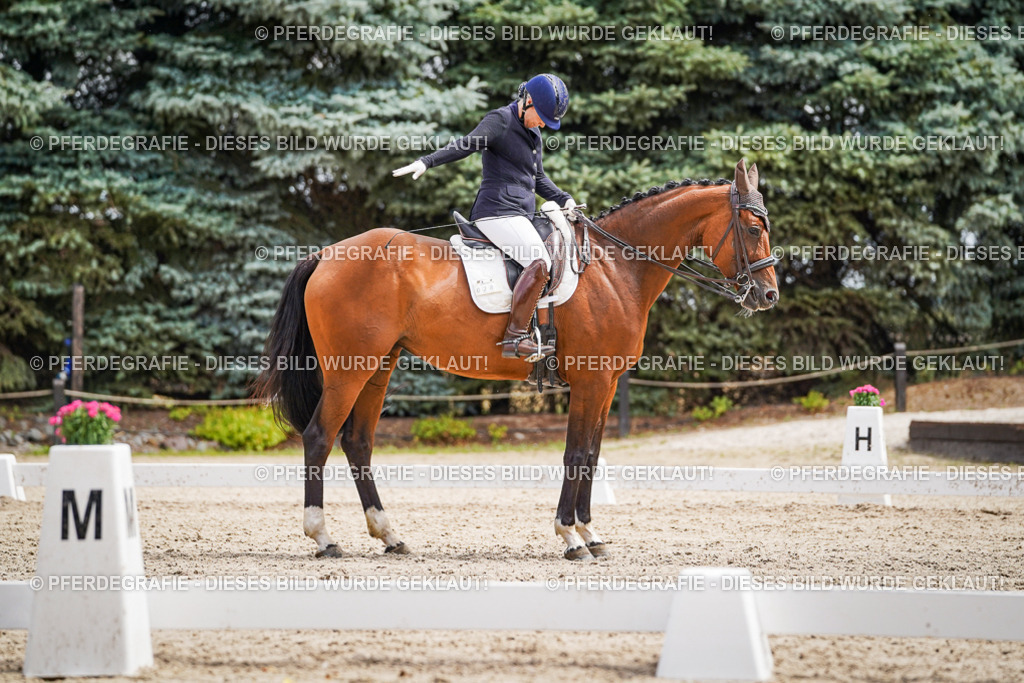 DSC03291 | Pferdegrafie