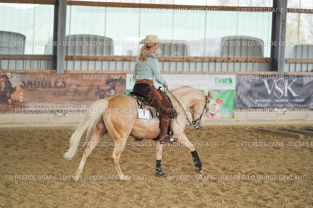 DSC01146 | Pferdegrafie