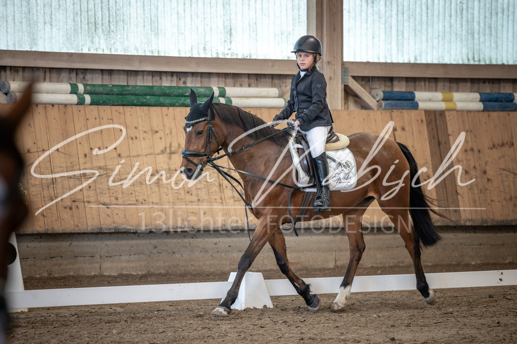 20251011-_3LI8225 | Tierfotografie Pferde, Hunde, Katzen, Haustiere.
Turnierfotografie Reitturniere, Reiten, Springreiten, Dressur in Hanau, dem Main-Kinzig-Kreis und dem Rhein-Main- Gebiet um Frankfurt