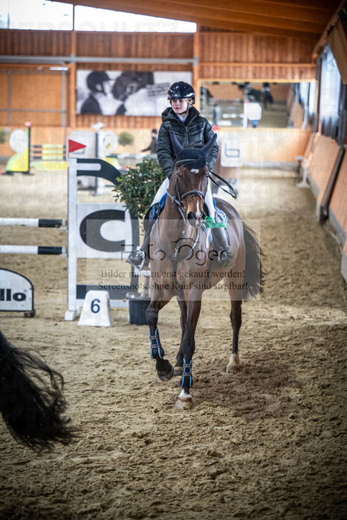 DOS_0071 | Entdecke hochwertige Reitturnierfotos von Foto Oger. Professionell, emotional und authentisch – jetzt Lieblingsmomente im Shop bestellen.Deutschlandweite Turnierfotografie. - Realisiert mit Pictrs.com