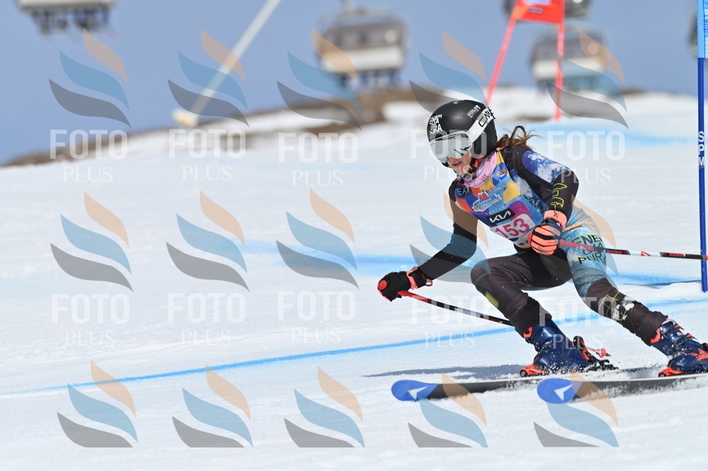 BGV_0107 | holidayphoto