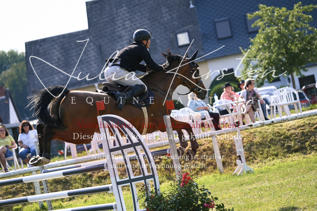 DSC_1515 | Pferde- und Turnierfotografie in Westsachsen. Pferdeportraits, Auftragszeichnungen und intuitive Kunst.