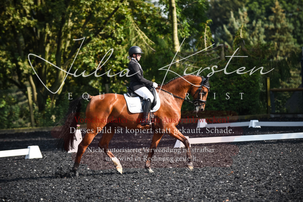 DSC_3154 | Pferde- und Turnierfotografie in Westsachsen. Pferdeportraits, Auftragszeichnungen und intuitive Kunst.