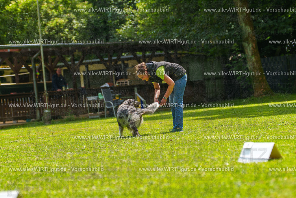 @allesWIRTHgut_Tierfotografie - www.allesWIRTHgut.de - 7R504828 | Professionelle Tierfotografie in Mönchengladbach von Daniel Wirth (allesWIRTHgut). Liebevolle & natürliche Bilder von Hunden & Katzen für unvergessliche Erinnerungen.