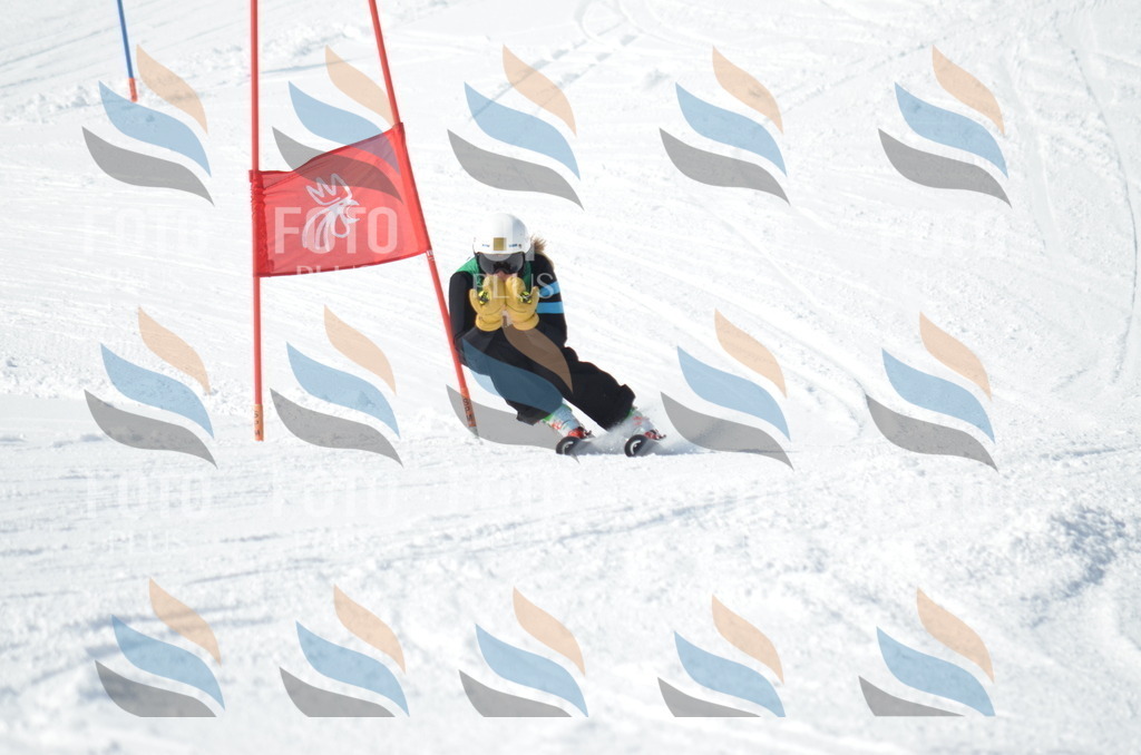 D9185 | holidayphoto