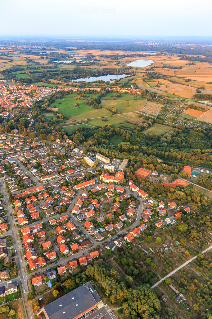 Luftbild: Blumenring, Buchstr in Jockgrim im Bundesland Rheinland-Pfalz in Deutschland. Foto: IMG_110741.jpg vom 05.09.2018 durch Werner Riehm/FLY-FOTO.de