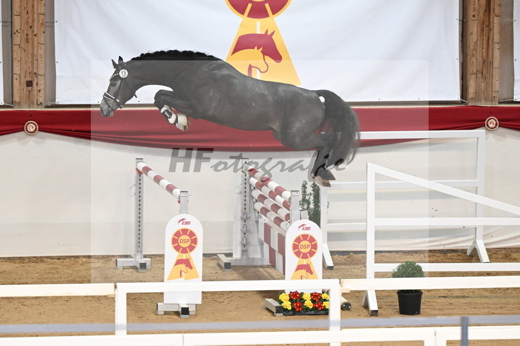 Kat.-Nr. 13 v. Cornet Obolensky (Windows vh Costersveld)_Beckmann_3261635 | hf-fotografie - Realizzato con Pictrs.com