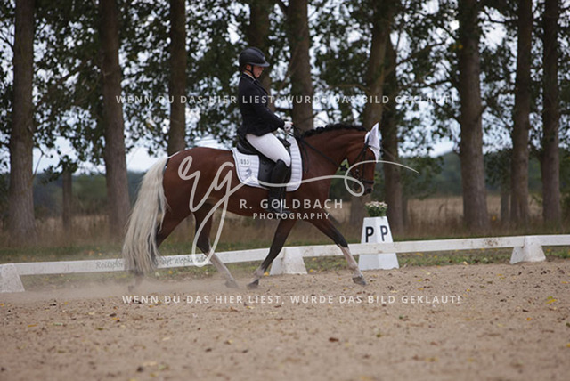 1J2A0929Charlotte Fehr_ Ikon 16_ Kn061_ Wöpkendorf_ Annalena Beier_ Quinn M_ Kn095 | Foto- und Videografie für alles rund ums Pferd. Hochwertige Bilder und Videos vom Spring- und Dressurreiten, Voltigieren & mehr. Jetzt aktuelle Veranstaltungen und Preise im Shop ansehen. - Realisiert mit Pictrs.com