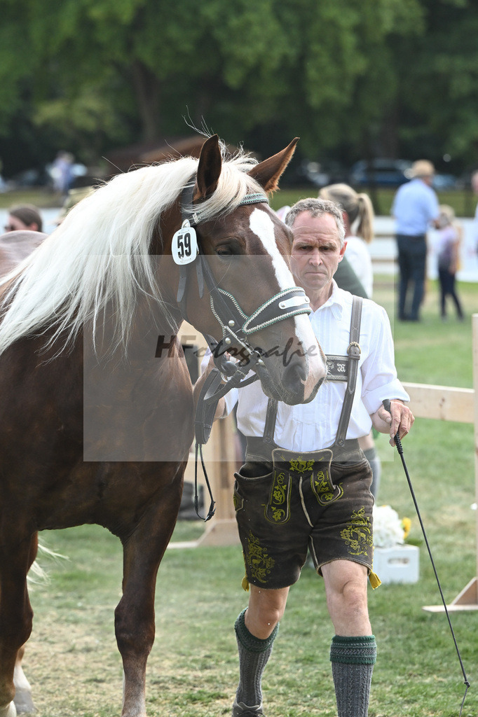 Kat-Nr. 59 Pamina_Mayr_20230957 | hf-fotografie - Realisiert mit Pictrs.com