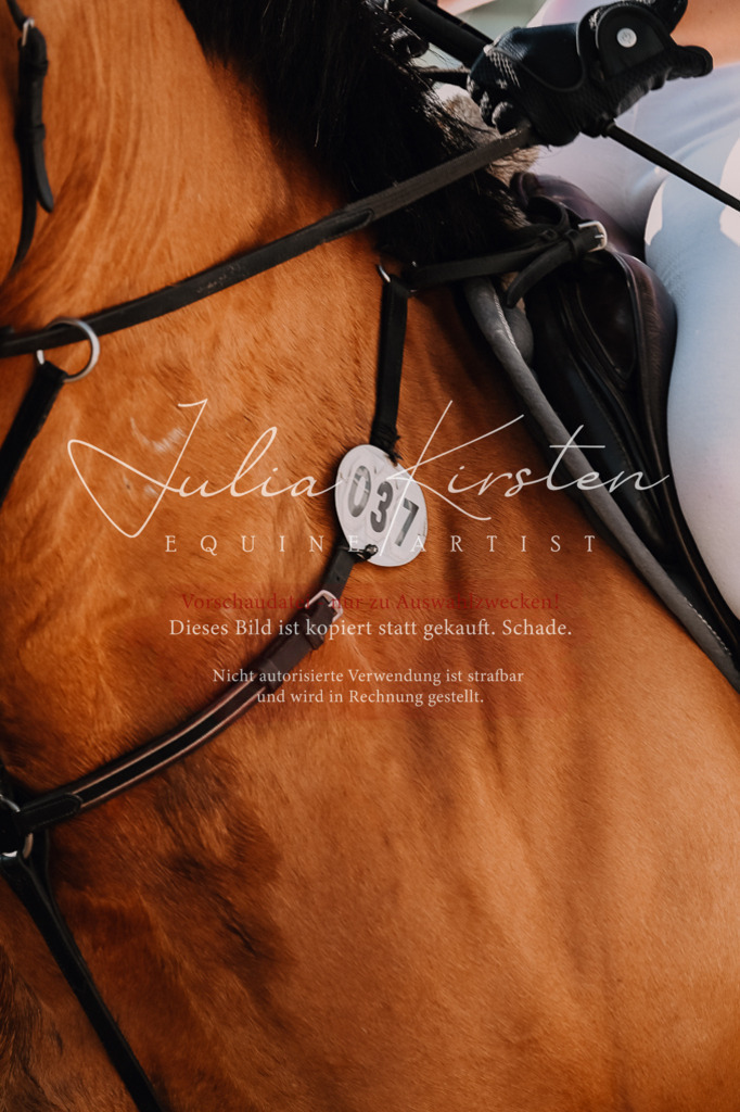 DSC_4571 | Pferde- und Turnierfotografie in Westsachsen. Pferdeportraits, Auftragszeichnungen und intuitive Kunst.